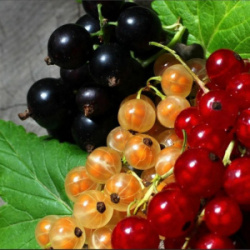 63f9ed75c3135b06f46fc214-1